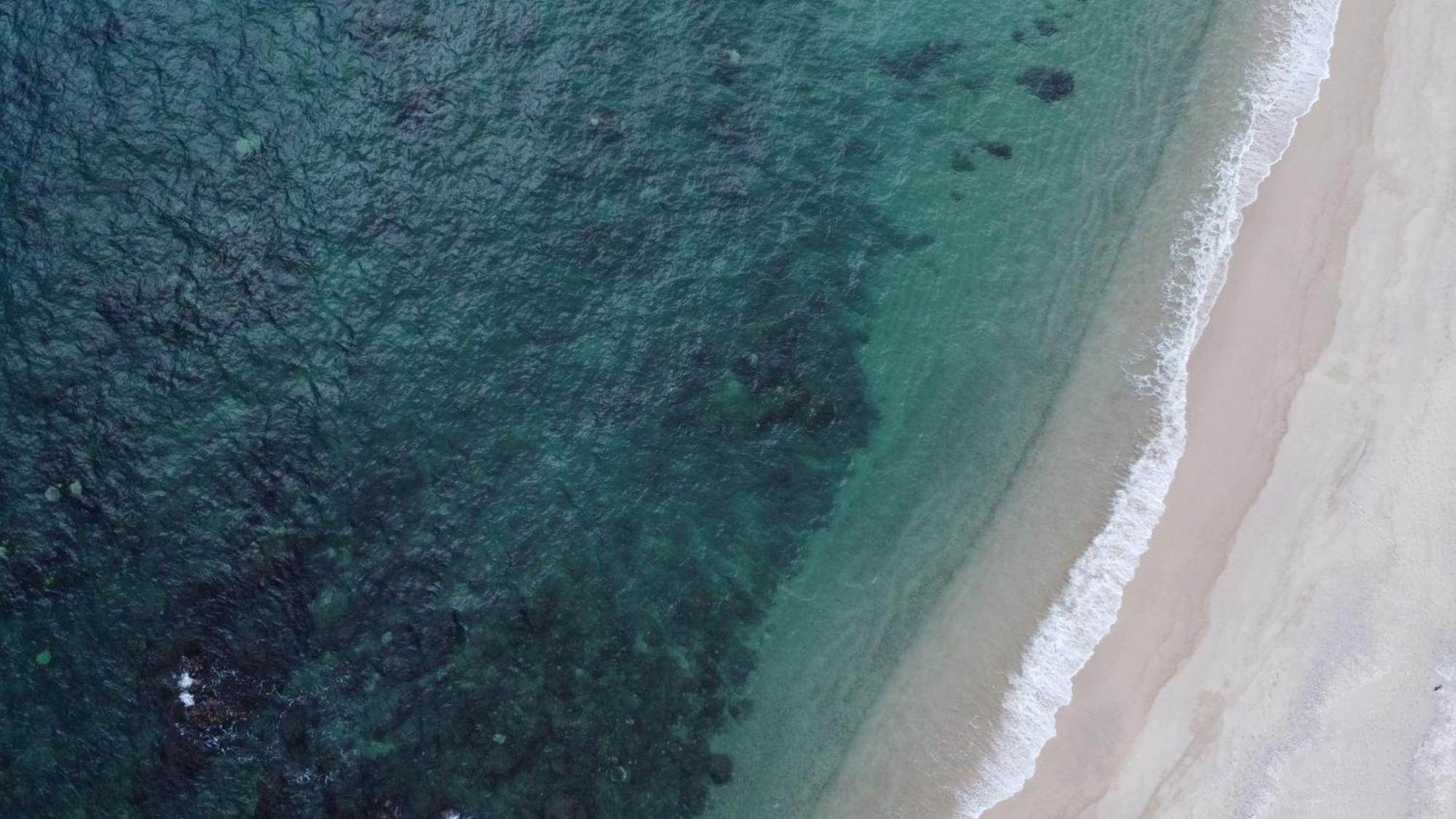 Punta Pescadero Paradise Hotel & Villas 로스베릴레스 외부 사진